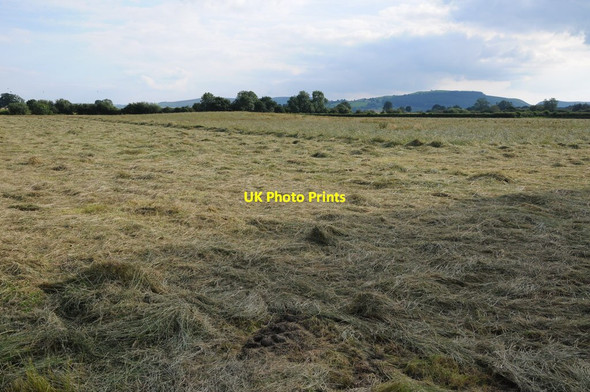 Photo 6"x4" Mown grass Kinnerton\/SO2463 c2012