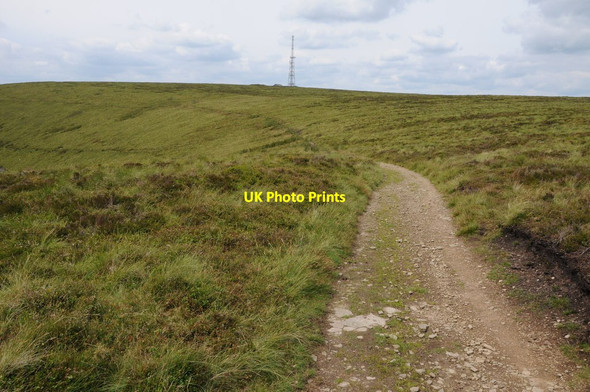 Photo 6"x4" Track on Black Mixen New Radnor c2012