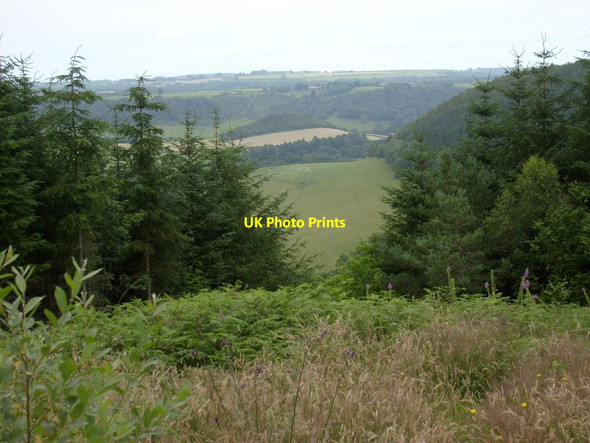 Photo 6"x4" View from Waitcliff End Bickley Gate Fm c2012