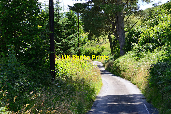 Photo 6"x4" Minor road heading for Banhadlog Hall Newchapel\/SN9883 c2012