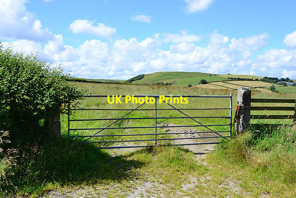 Photo 6"x4" Gate and field near Garth Fawr farm Tylwch c2012