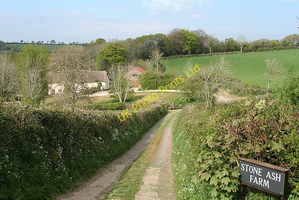 Photo 6"x4" Morchard Bishop: track to Stone Ash Farm Kennerleigh c2007