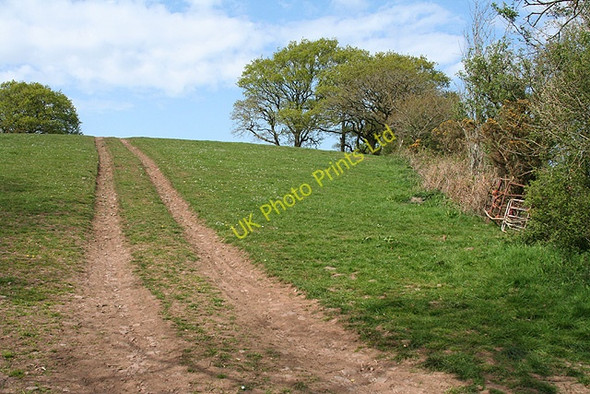 Photo 6"x4" Woolfardisworthy: Emlett Hill Kennerleigh c2007