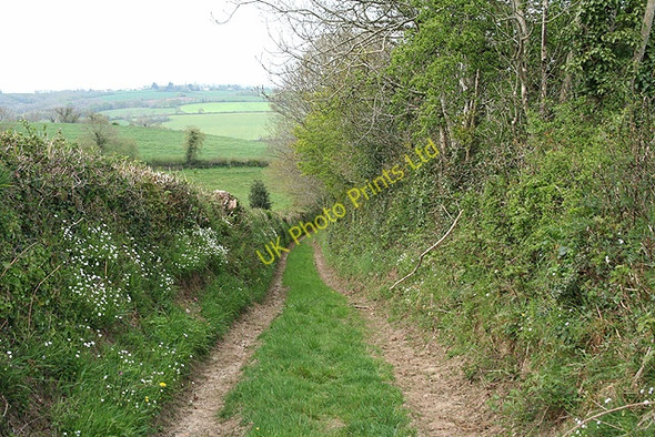 Photo 6"x4" Morchard Bishop: track to Scotland and South Emlett Kennerleigh c2007