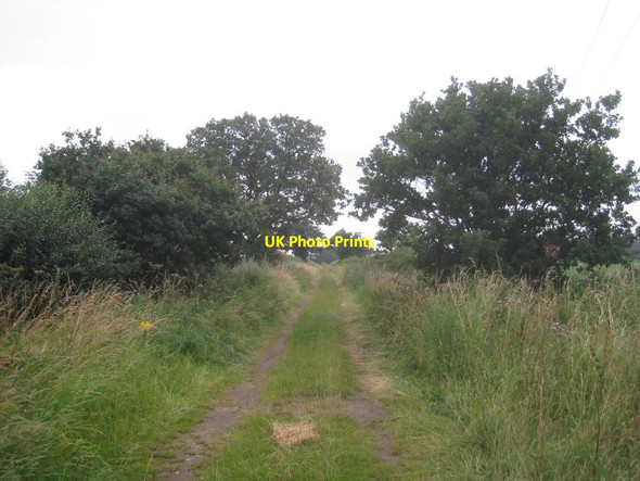 Photo 6"x4" Toft Hill Lane Harwell\/SK6891 c2012
