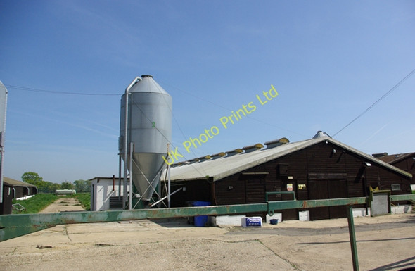 Photo 6"x4" Poultry houses Brook Street\/TQ9333 c2007
