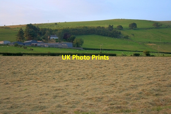 Photo 6"x4" Hayfield near Clarach Clarach c2012