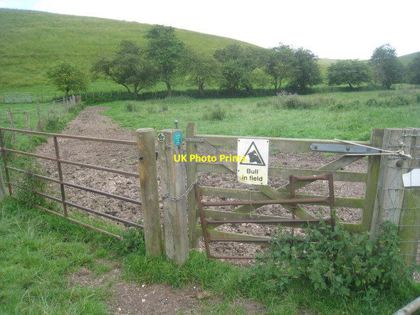 Photo 6"x4" Gate at the bottom of Cowlam Well Dale Sledmere c2012