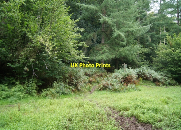 Photo 6"x4" Very muddy dell Dry Hill\/SU6536 c2012