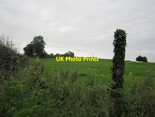Photo 6"x4" Grass fields, Newcastle Oldcastle\/N5580 c2012