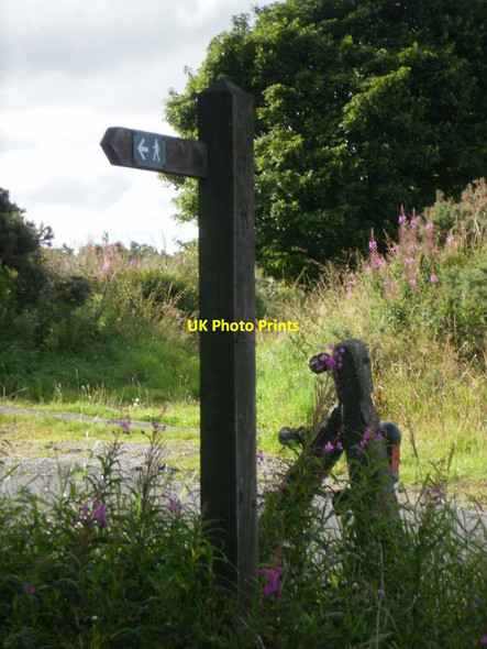 Photo 6"x4" Kingswells up Brimmond Hill Country Park Newhills c2010