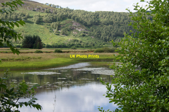 Photo 6"x4" Sheltered backwater on the River Glass Struy c2012