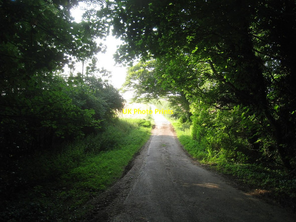 Photo 6"x4" Road to Blankney Grange Blankney c2012