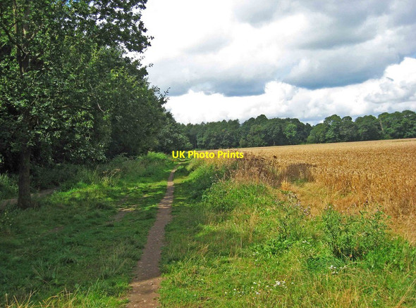 Photo 6"x4" Footpath in field by northern edge of Hurcott Wood, looking west, near Kidderminster Broadwaters c2012