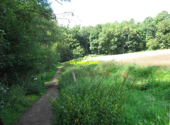 Photo 6"x4" Footpath along northern edge of Hurcott Wood, looking west, near Kidderminster Broadwaters c2012