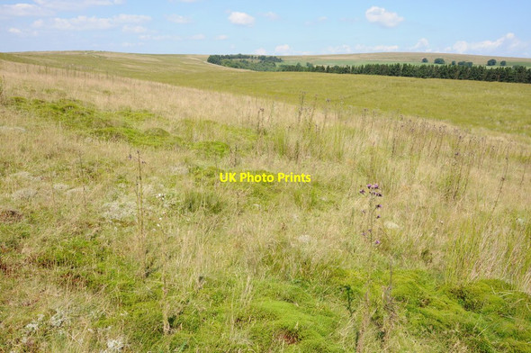 Photo 6"x4" View across Mynydd Llanhilleth Abersychan c2012