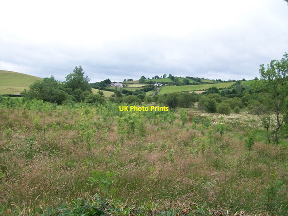 Photo 6"x4" Bogland between the School Road and the R191 Madabawn c2012