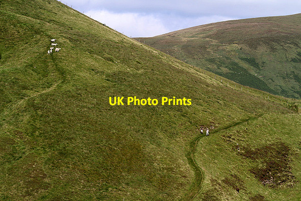 Photo 6"x4" Path Knowe Raking Gill c2012