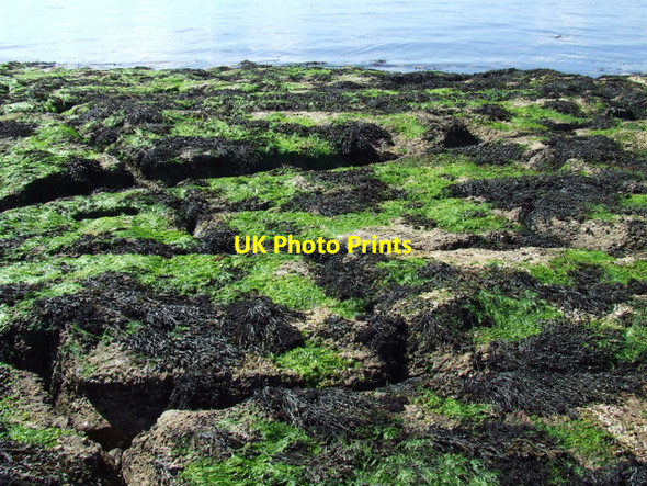 Photo 6"x4" Rocks at Toward Point Toward c2012