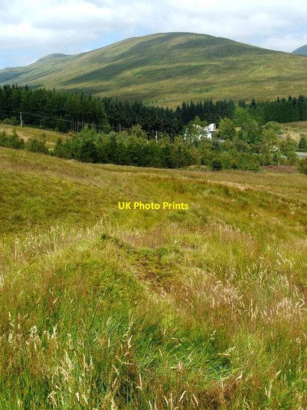 Photo 6"x4" Old field boundary Faslane Port c2012