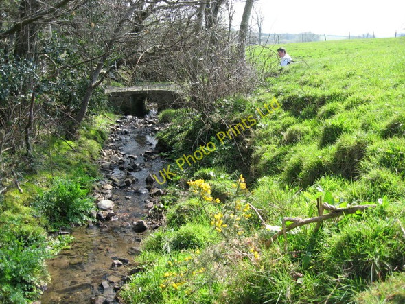 Photo 6"x4" Footpath crossing the stream between St Giles in the Wood and Dodscott Dodscott c2007