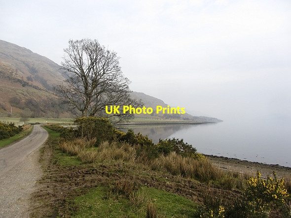 Photo 6"x4" Shores of Loch Linnhe Corran\/NN0163 c2012