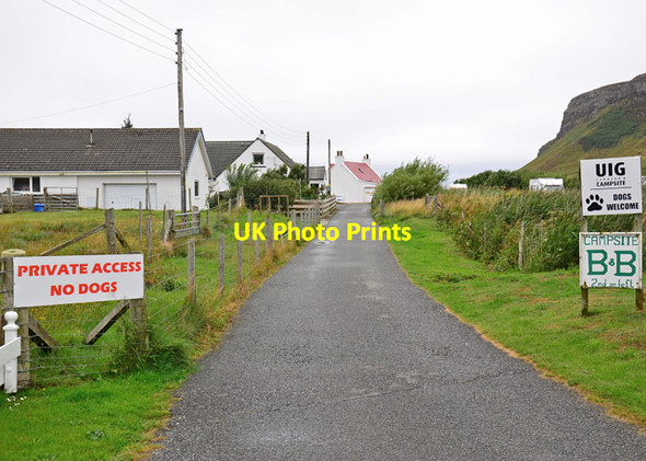 Photo 6"x4" Confused about dogs Uig\/NG3963 c2012