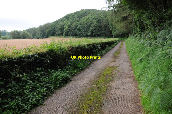 Photo 6"x4" Road to Ham Farm Berrow Green c2012