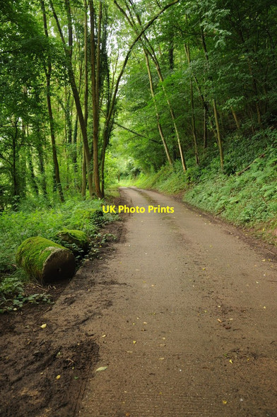 Photo 6"x4" Farm road in the Teme valley Berrow Green c2012