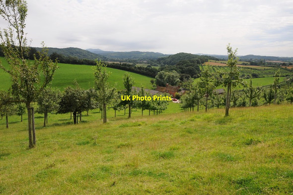 Photo 6"x4" View from Tedney Bank Berrow Green c2012