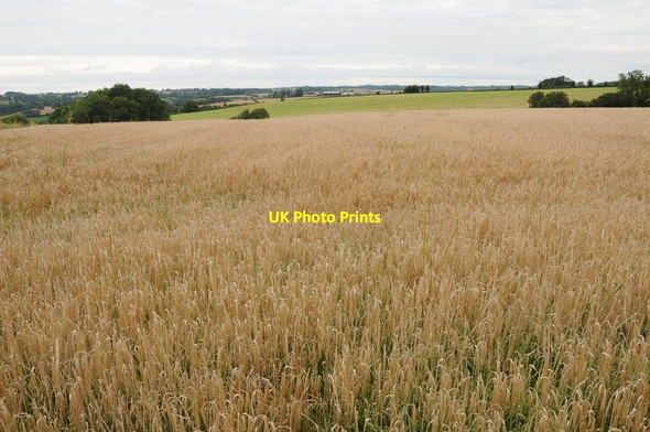 Photo 6"x4" Arable land near Clifton on Teme Clifton Upton Teme c2012