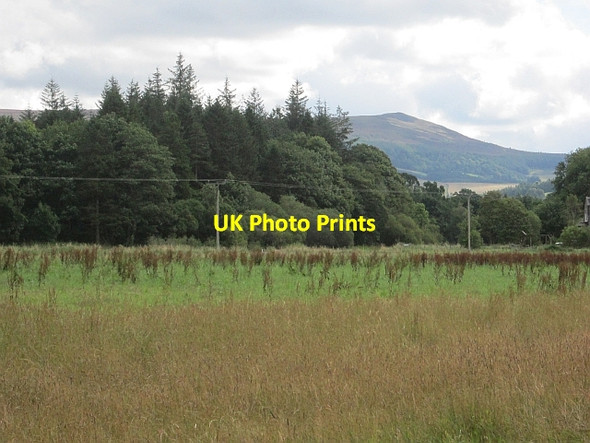 Photo 6"x4" A riverside field Peebles\/NT2540 c2012