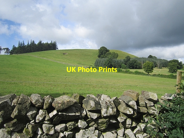 Photo 6"x4" Tor Hill Peebles\/NT2540 c2012