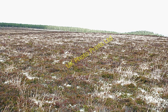 Photo 6"x4" Machatties Cairn Mulben c2007