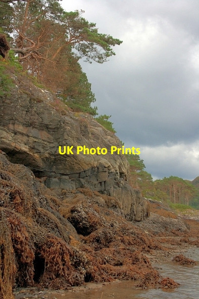 Photo 6"x4" Shoreline of Eilean an Fheidh Invermoidart c2012