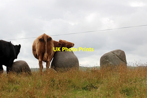 Photo 6"x4" Stone row near the Torhousekie stone circle Spittal\/NX3657 c2012 P1