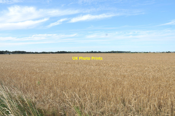 Photo 6"x4" Farmland on the outskirts of Forres Forres c2012