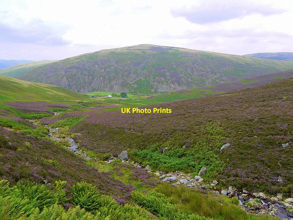 Photo 6"x4" Bizzle Burn above Dunsdale Bizzle Burn c2012