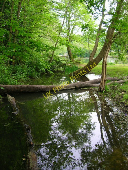 Photo 6"x4" The Pells Lewes c2007