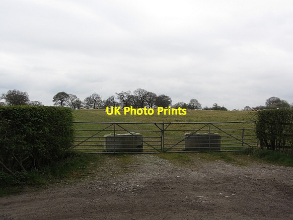 Photo 6"x4" Field entrance Pickmere c2012