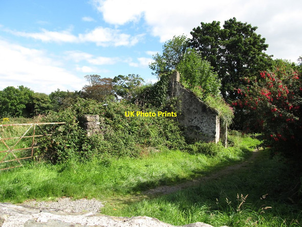 Photo 6"x4" Ruined cottage behind Carlingford Abbey Carlingford c2012