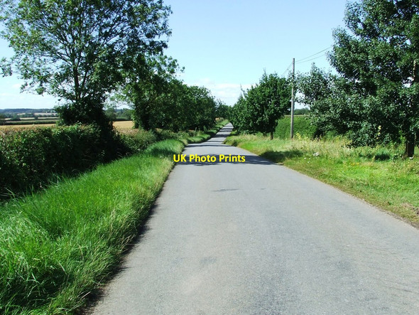 Photo 6"x4" Bradley Road East Green\/TL6853 c2012