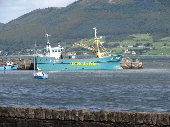 Photo 6"x4" The mussel dredger Mytilus at Carlingford Harbour Carlingford c2012