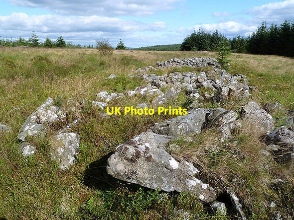 Photo 6"x4" The Long Cairn on Windy Edge Caulside\/NY4480 c2012