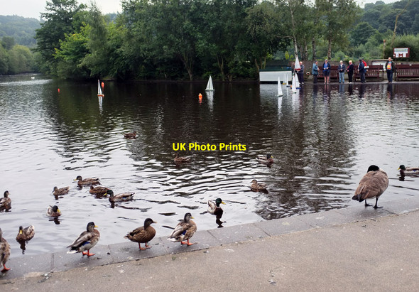 Photo 6"x4" Sunday sailors Romiley c2012