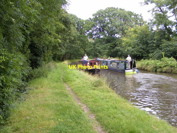 Photo 6"x4" Canal Traffic Calf Heath c2012