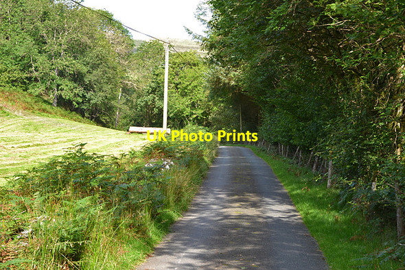 Photo 6"x4" Minor road heading up Cwm Clegyrnant Pandy\/SH9004 c2012