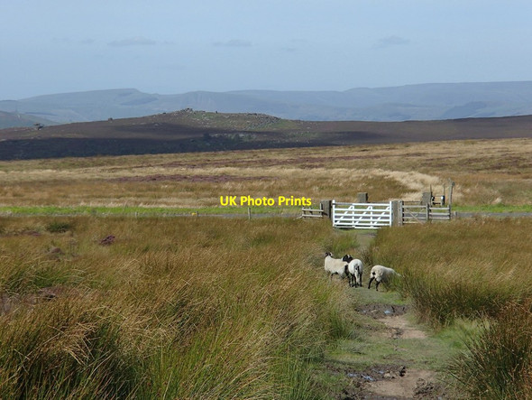 Photo 6"x4" Path crossing the A625 Nether Padley c2012