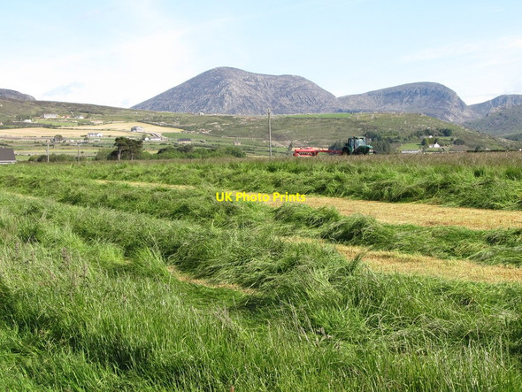 Photo 6"x4" Hay making off Oldtown Road Annalong c2011