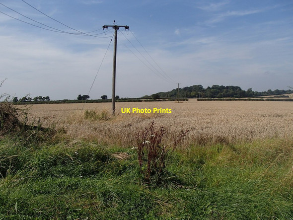 Photo 6"x4" Fields towards Cocked Hat Plantation Kersall c2012